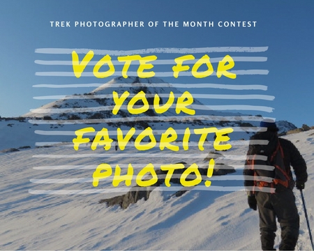 Vote For Your Favorite Photo