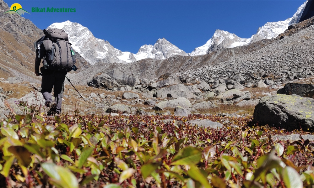 Highlights Of Borasu Pass Trek