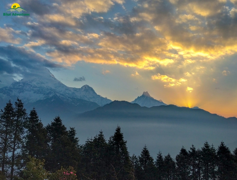 Poon Hill Trek